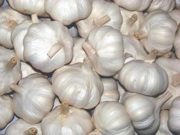 Vitunguu Swahumu - Vegetables fresh GENGE ONLINE